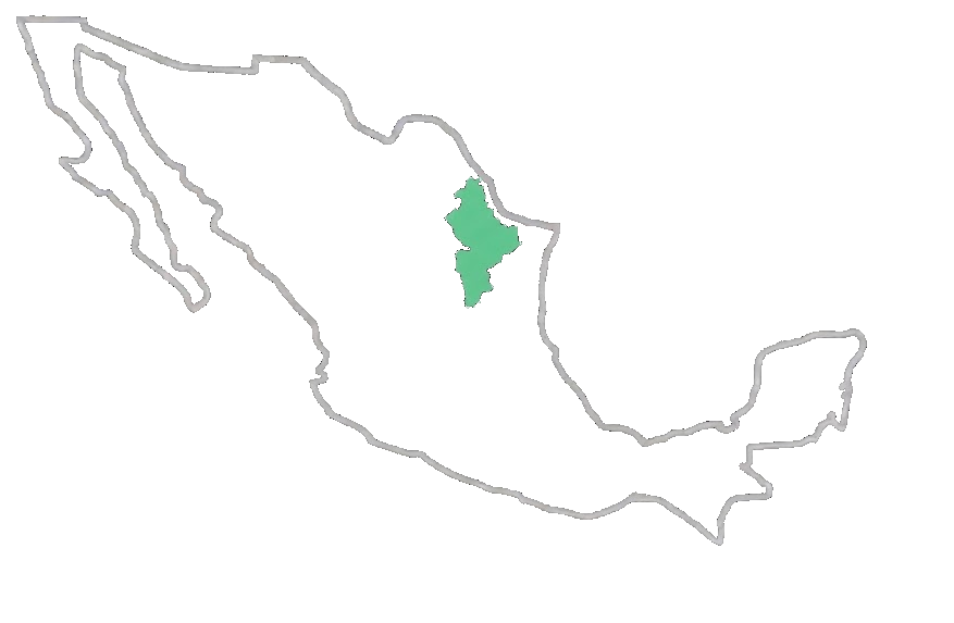 Cobertura Monterrey